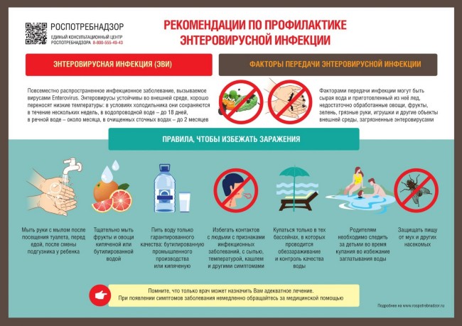 Ибресинский район Чувашской Республики » Педикулез в детских организованных коллективах